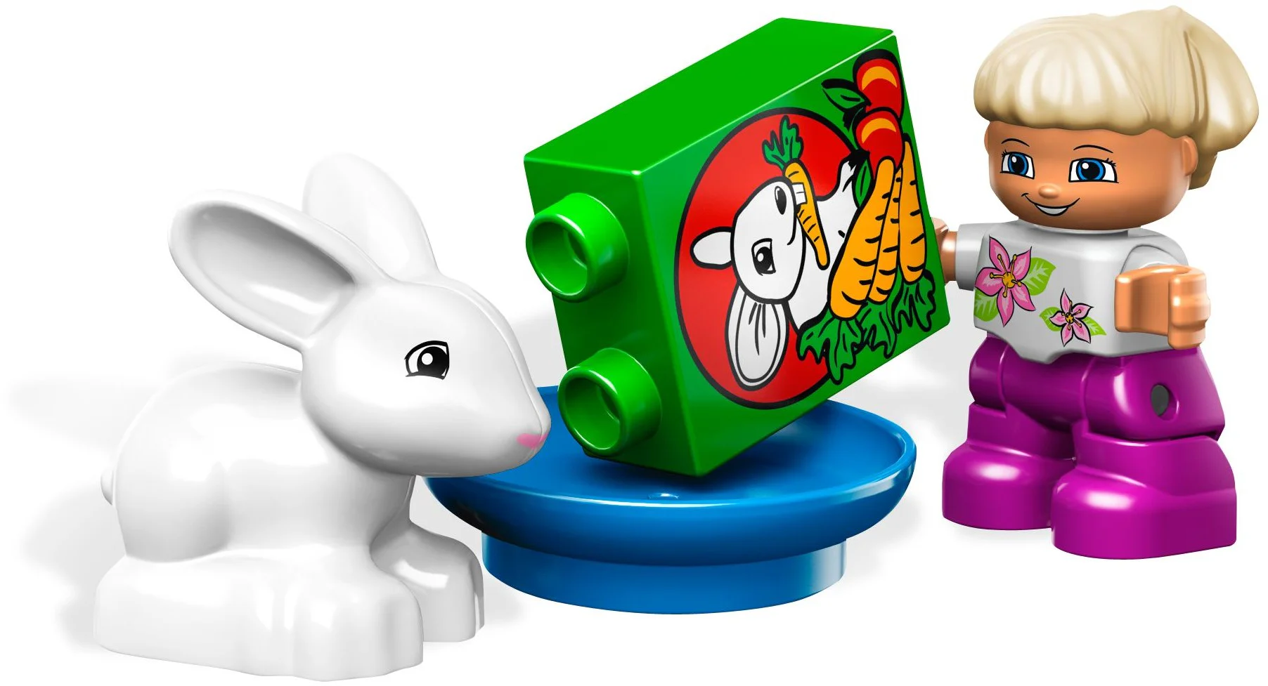 The pet store 乐高 LEGO 5656 image 4
