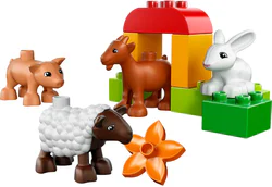 Farm animals