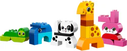 Creative animals