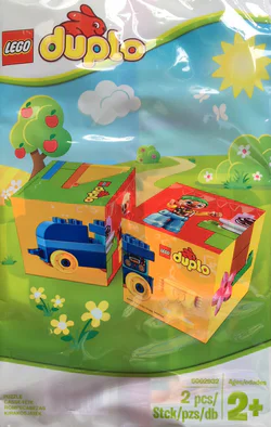 Jigsaw puzzle
