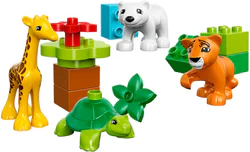 Cute Critters