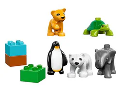 Wildlife
