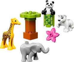 Cute animal babies