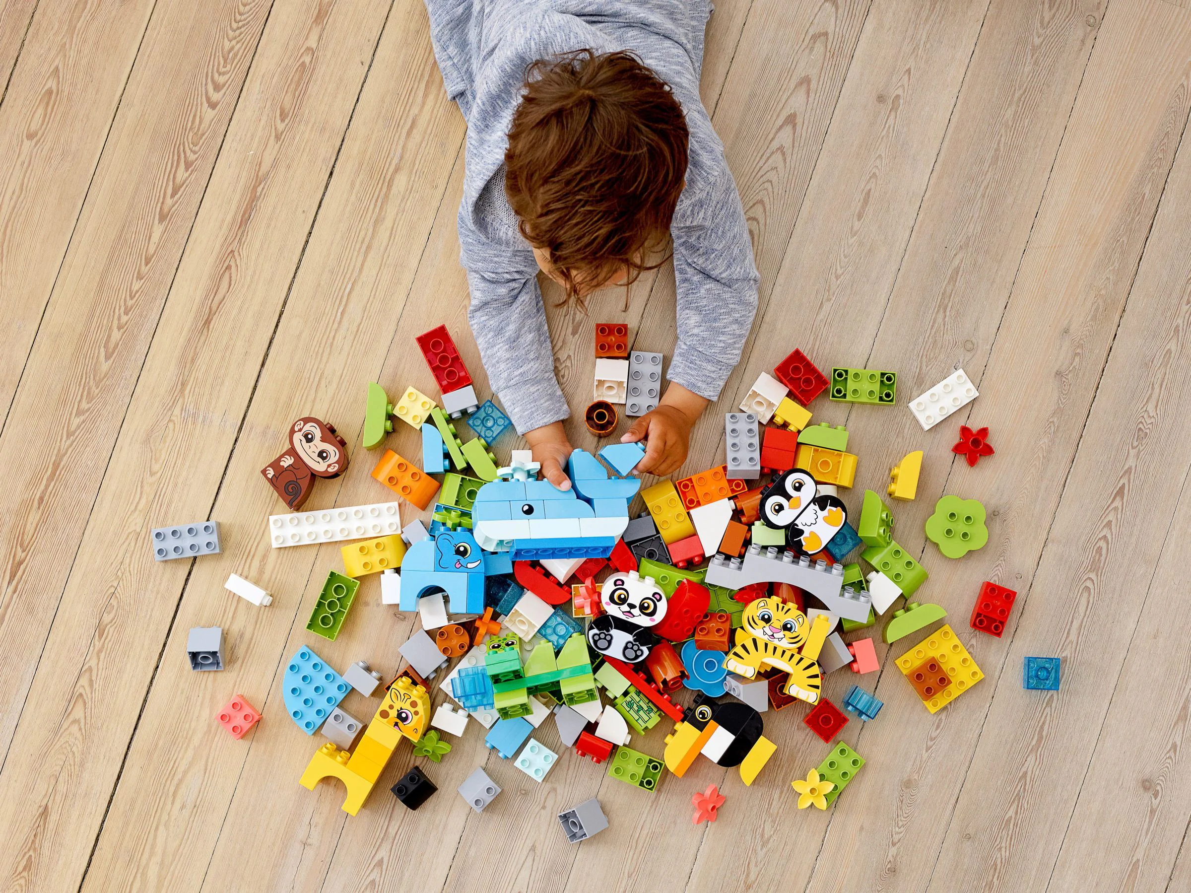 World of Creative Animals 乐高 LEGO 10934 image 6