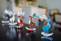 The elk