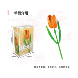 Tulips