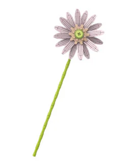 African Lily
