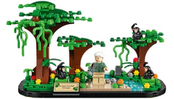 Respects Jane Goodall