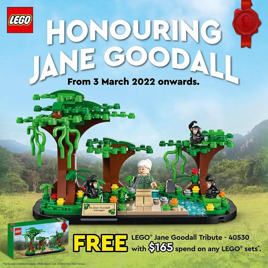 Respects Jane Goodall 乐高 LEGO 40530 image 1
