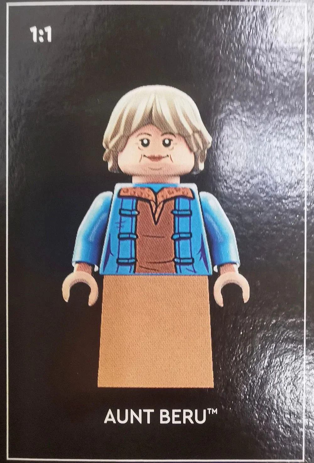 The kitchen of Lars House 乐高 LEGO 40531 image 4