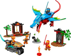 The Temple of the Ninja Flying Dragon