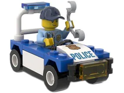 Police and police car.