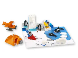 Polar animals