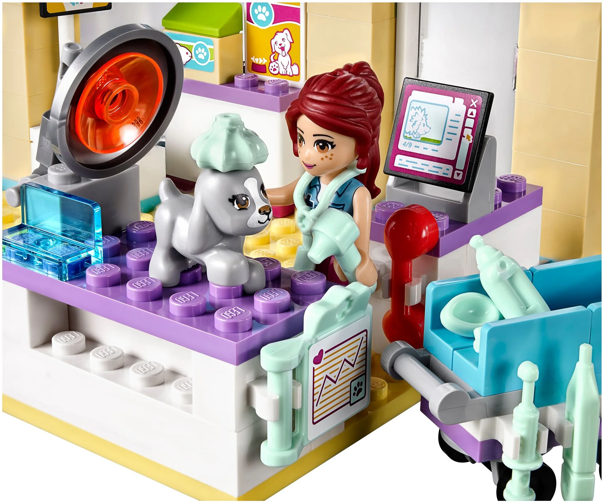 Animal Clinic 10537 image 4