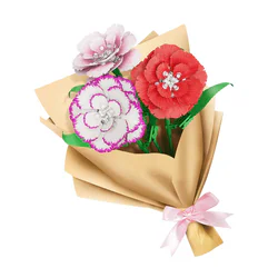 STEAM EDUCATION: CARNATION
