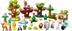 World Wildlife