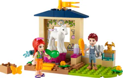 The pony's