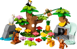 South American wildlife