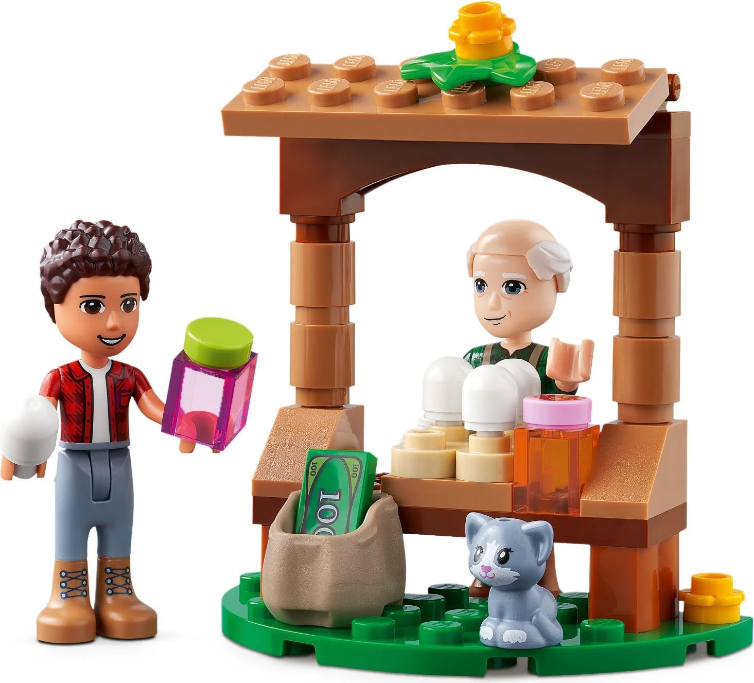 Organic farms 乐高 LEGO 41721 image 12