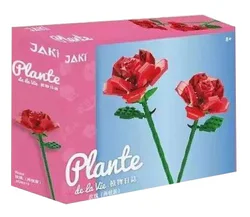 Romantic Flower Rose (Two-Stem Package)