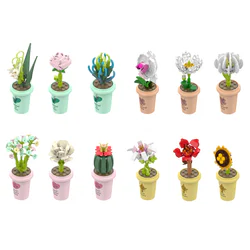 Plant log: Milk and tea cups green-planted bouquet 12