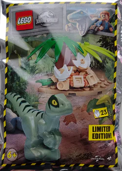 The Raptor's den