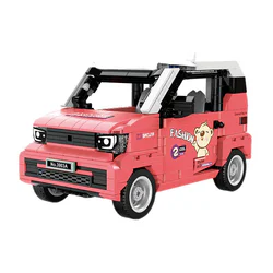 Internet celebrity mini car