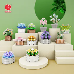 Botanical flower plant, multi-basket plant, six units, white lurking, twilight heart, starwalk, blue ice, sky and chrysanthemum, snow angel, twilight, twilight, twilight, twilight, twilight, twilight, twilight, twilight, twilight, twilight, twilight, twilight, twig coral