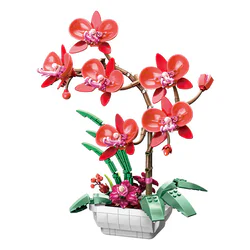 Butterfly orchid