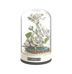 The Everlasting Flowers, Little Bird Jump
