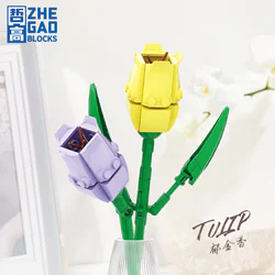 Flowers: Tulip