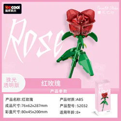 Flowers, roses, transparency