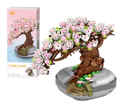 Sakura plant