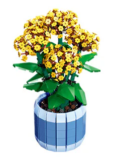 Longevity flower