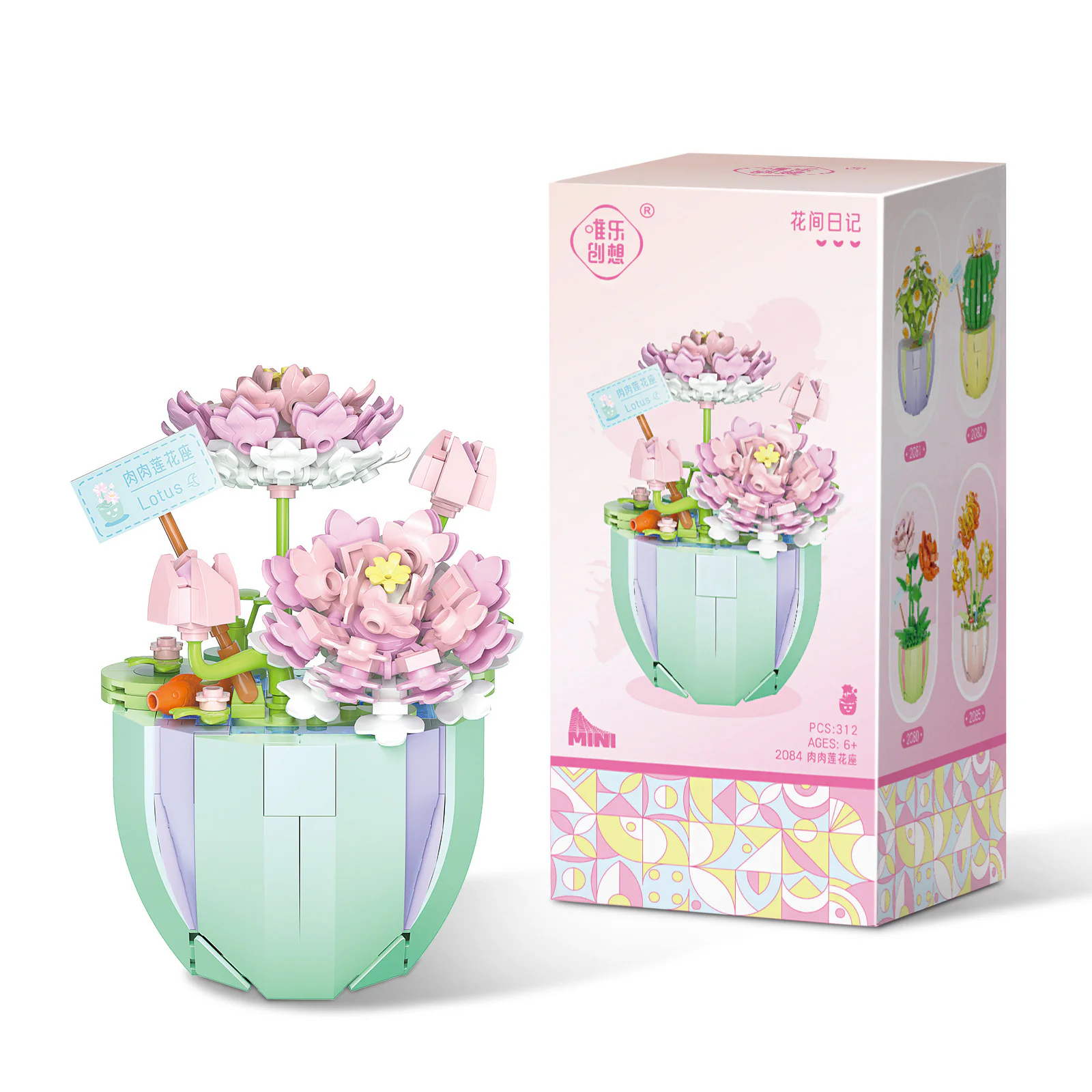 Flower Diary: Meat Lotus 唯乐创想 2084