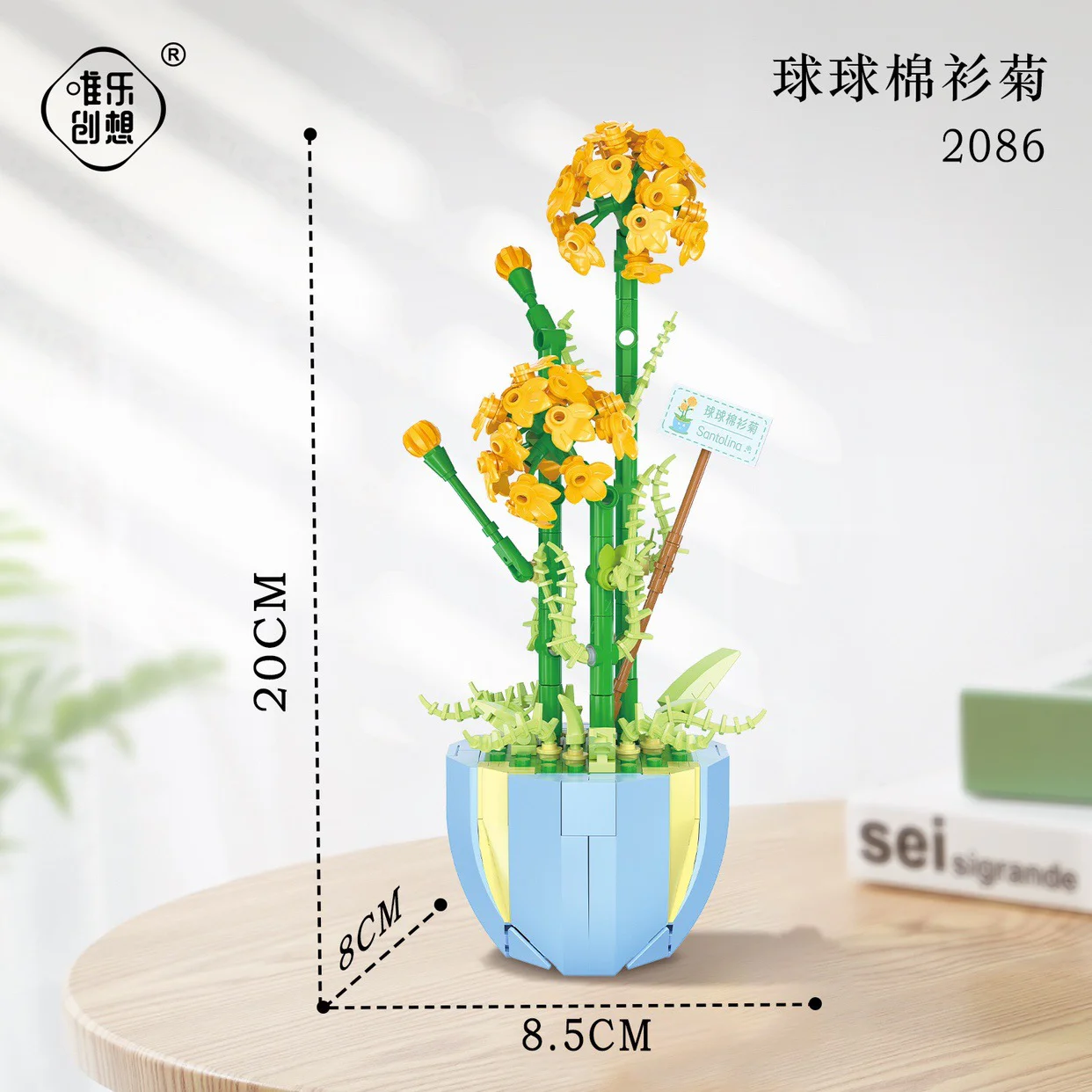 A flower diary: ball ball gills 唯乐创想 2086 image 2