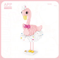 Flamingos