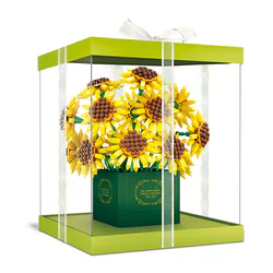 The sunflower box