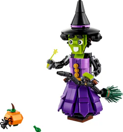 Mysterious witch