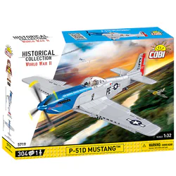 WILD MUSTANG P51D