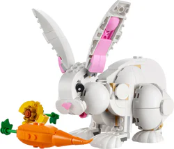 Cute rabbit