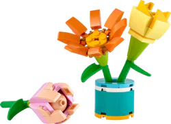 A flower of friendship