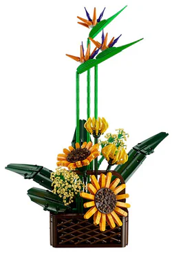 World of Flowers: Birds of Heaven
