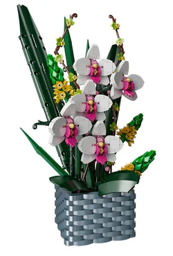 Flower World: Together for All