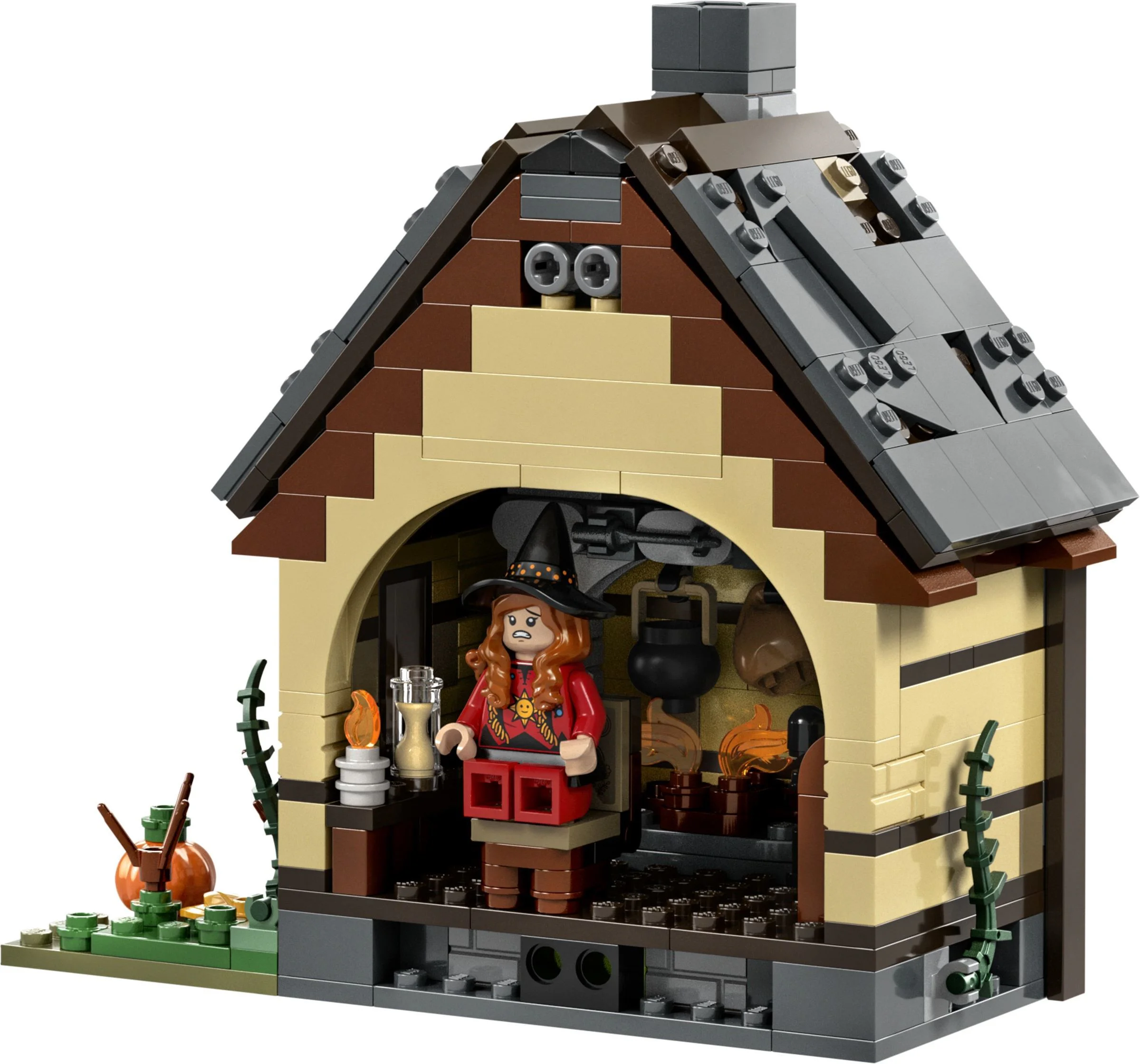 The Disney Witch is also crazy: the Sandson sisters' magic house 无牌 10900 image 8