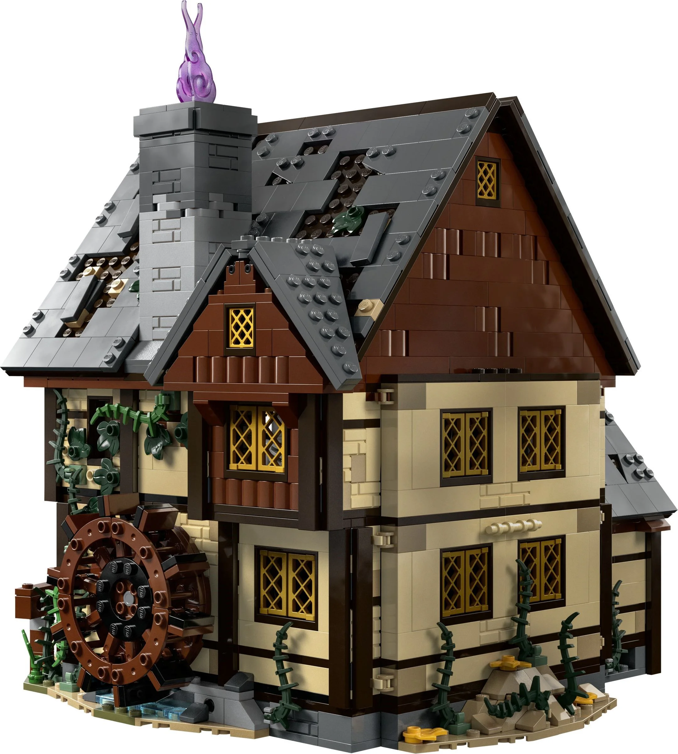 The Disney Witch is also crazy: the Sandson sisters' magic house 无牌 10900 image 13