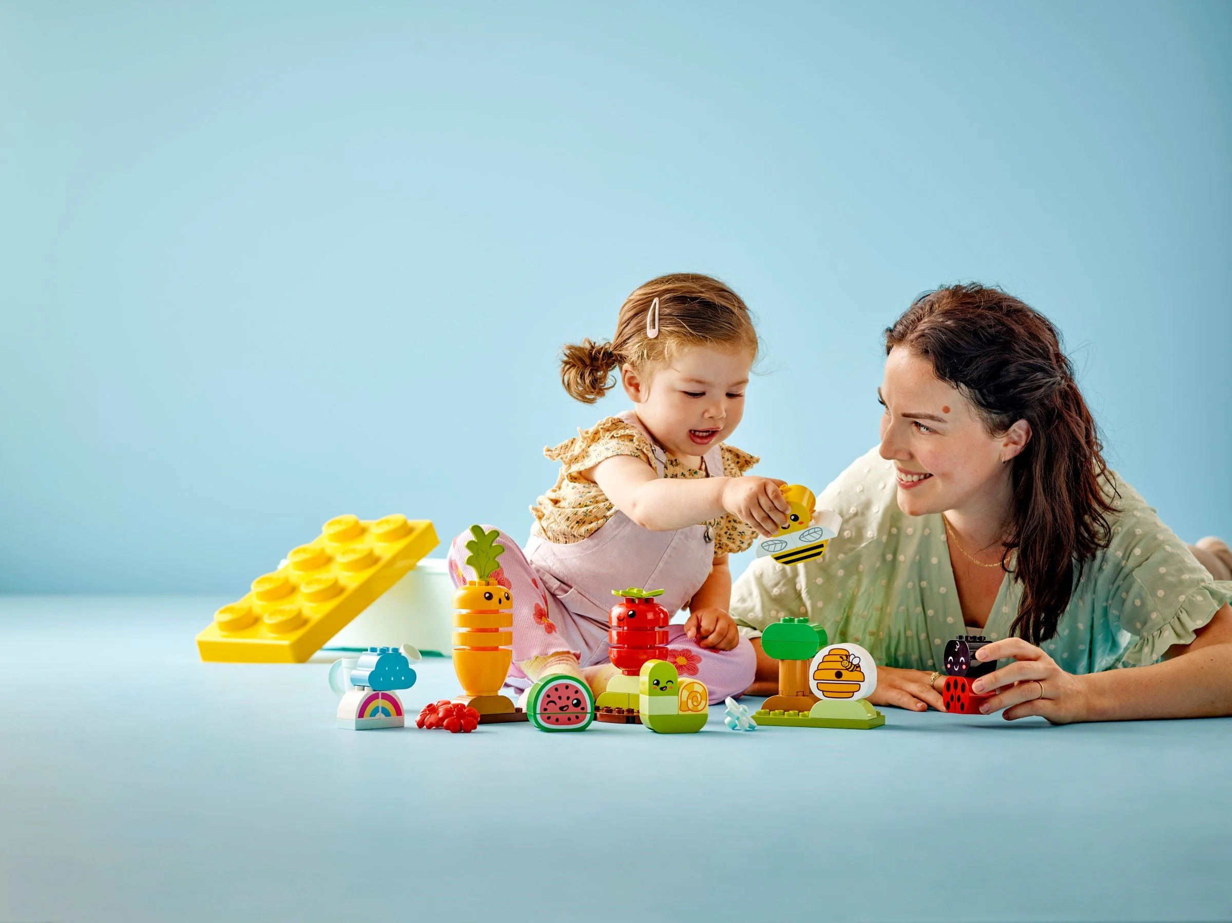 Organic vegetable garden 乐高 LEGO 10984 image 8