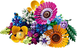 Flowers. Wild flowers
