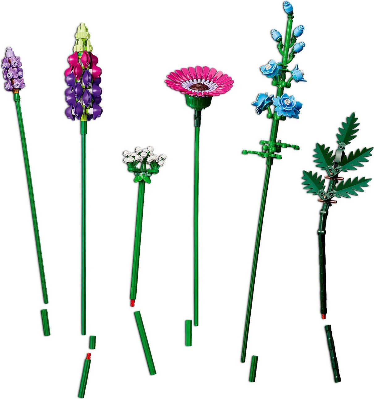 Flowers. Wild flowers 无牌 99033 image 3