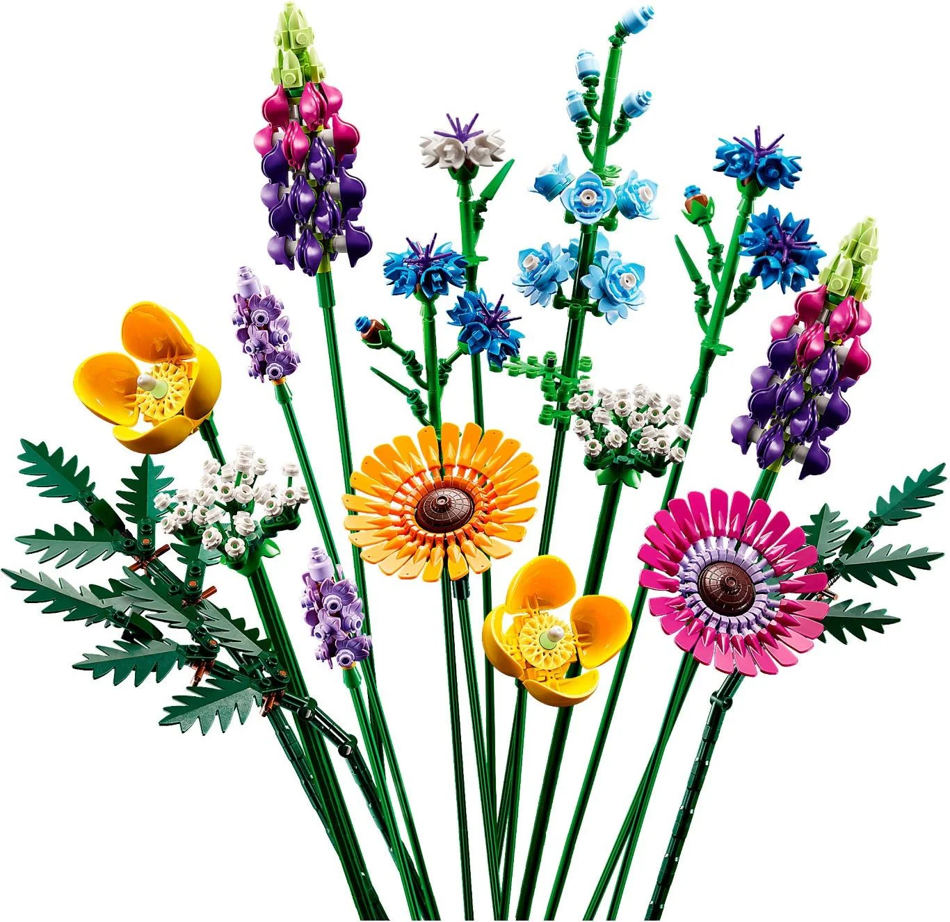 Flowers. Wild flowers 无牌 99033 image 10